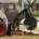 Regal Land Services Stump Grinding