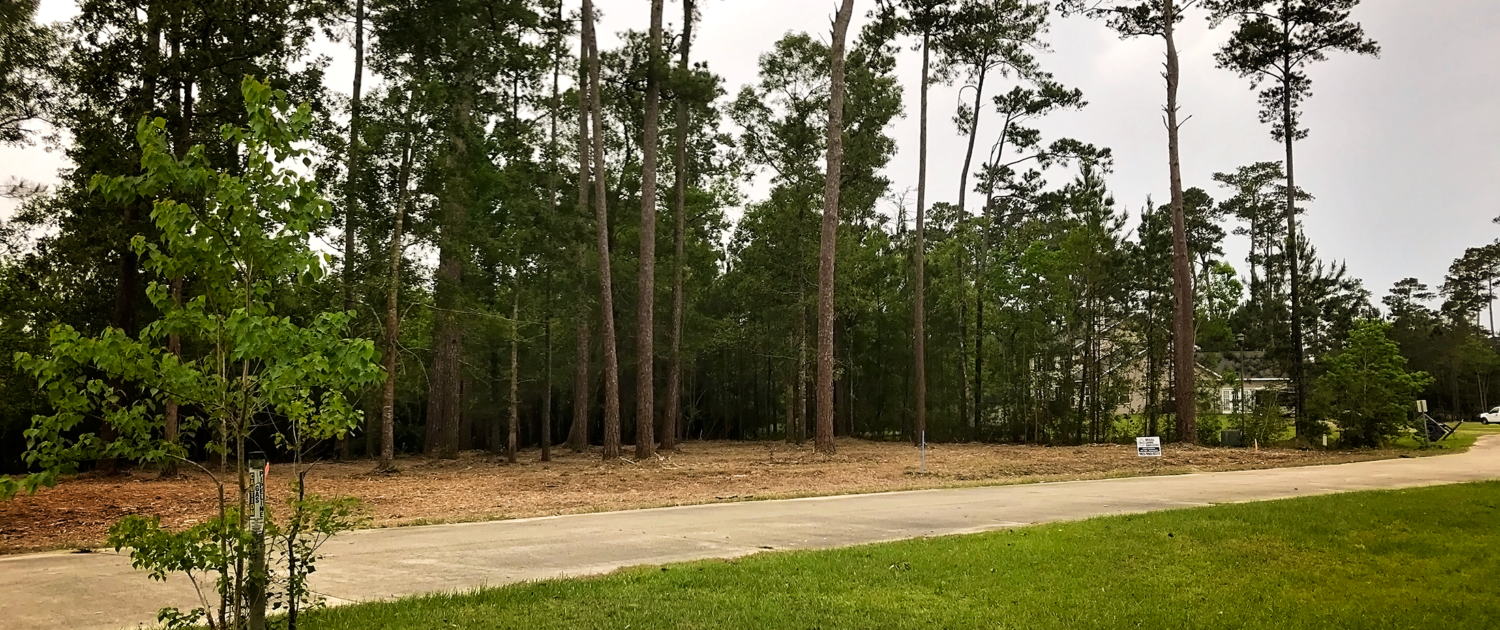 Land Clearing Services for the Louisiana and Mississippi Gulf Coast