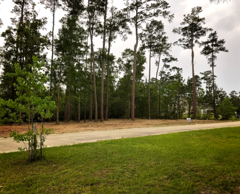 Land Clearing Services for the Louisiana and Mississippi Gulf Coast