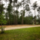 Land Clearing Services for the Louisiana and Mississippi Gulf Coast