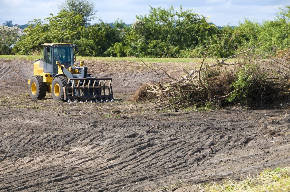 Land Clearing